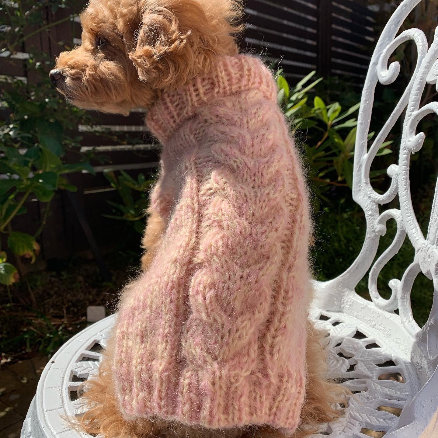 タートルネックのわんこニット Sapo Tricot タートルネックのわんこニット Sapo Tricot